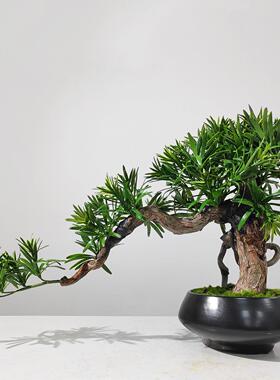 新中式迎客松盆景摆件样板房玄关茶室茶楼松树盆栽装饰品景观摆设