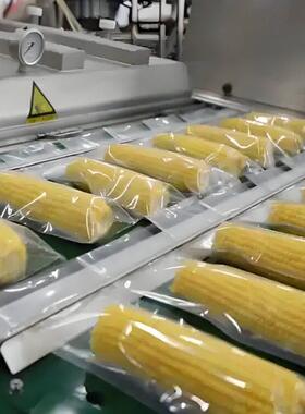 东北鲜玉米深加工生产线玉米蒸煮机糯玉米加工设备