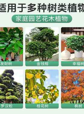 树木营养液吊针液大树输液袋桂花树果树移栽生根剂激活液通用型