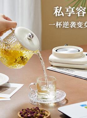 生养水XF-C1壶家用多功能全自动温烧煮茶办公室小恒型一人养生壶