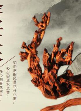 羊蹄甲金丝红木中国风根雕根艺摆件树根毛料珊瑚木沉木水族水景料