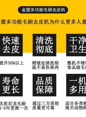 新型猕猴桃去皮机毛辊清洗机不锈钢商用奇异果毛刷清洗去皮机