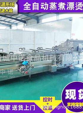 非标加工蕨菜漂烫机 山野菜加工流水线 全自动毛豆蒸煮漂烫机