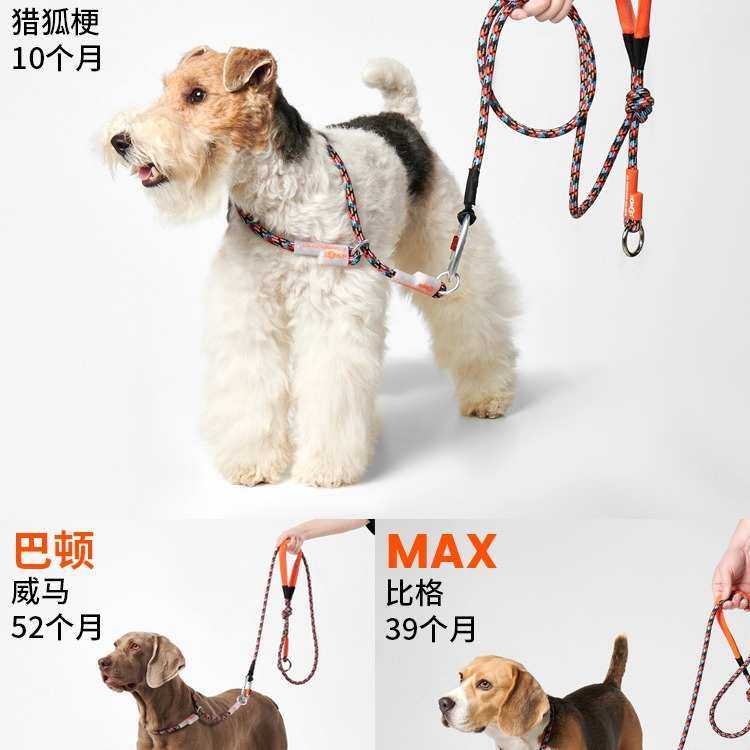 howgo双扣牵引绳 狗绳泰迪金毛拉多狗绳遛狗绳子链小中大型犬宠物,淘宝优惠券,粉丝福利购,淘宝优惠卷