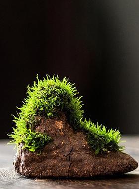 陶瓷吸水假山水景创意摆件装饰盆景办公室桌面造景绿植禅意微景观