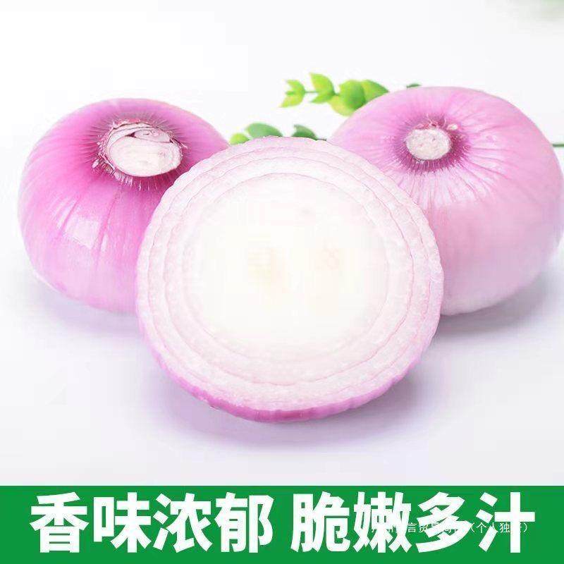 农家现挖水果洋葱5斤脆甜紫皮新鲜蔬菜圆葱头整箱包邮优普通洋葱,淘宝优惠券,粉丝福利购,淘宝优惠卷