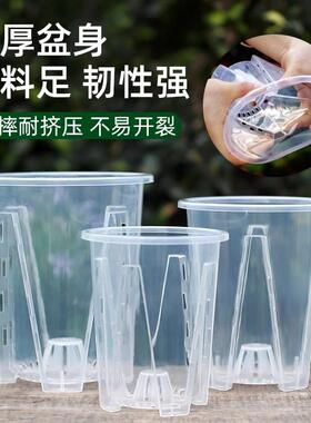 透明青山控根盆兰花石斛水苔蝴蝶兰专用花盆大号家用塑料透气镂空