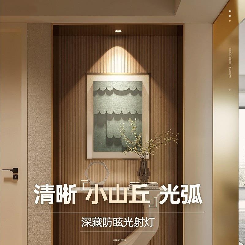 Hill spotlight embedded anti-glare wall washing household led ceiling light downlight living room adjustable high color rendering
