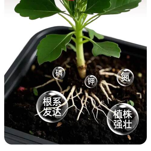 艾尚棵聚能黑金水溶肥黑金肥矿源黄腐酸钾聚谷氨酸家用微生物肥料 - 图2