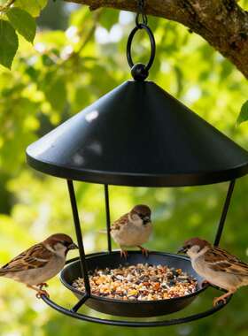 新品热销鸟类防撒动喂食自悬挂式铁庭艺户XYTC-YHW装外饰花园院圆