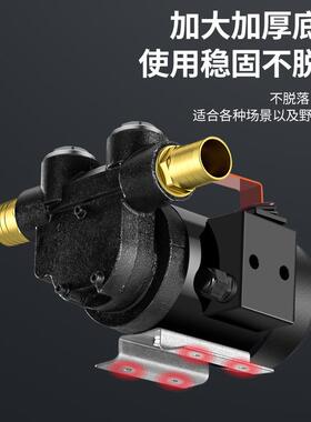 电动抽油泵柴油12v24v220v自吸泵液压油抽油机机油泵齿轮泵