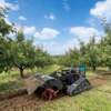 Five-in-one multifunctional remote control lawn mower rotary tiller remote control micro tiller crawler type non-tangled blade land reclamation lawn mower