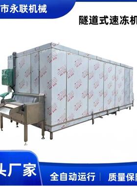 永联大产量全自动速冻机 网带式连续速冻设备流水线 氟利昂速冻机