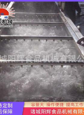 全自动果蔬清洗机设备海葡萄清洗机设备白菜气泡清洗机设备