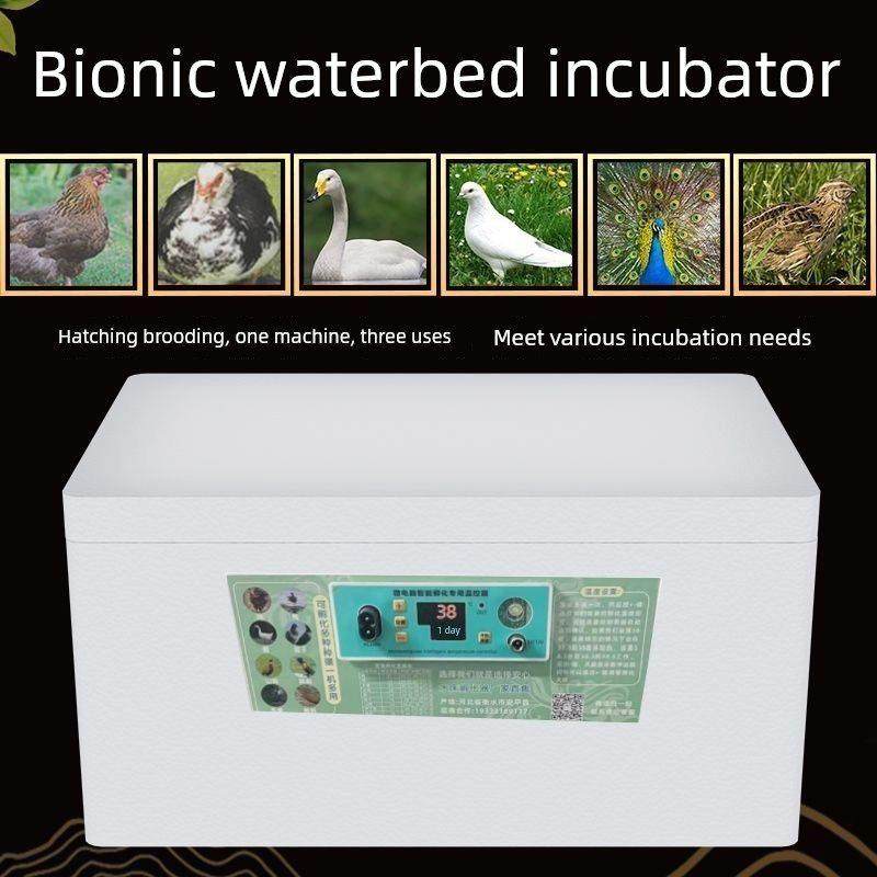 鸡鸭鹅孵化器水床家用孵蛋器全自动控温小型孵化芦丁鸡鸟类孵化机,淘宝优惠券,粉丝福利购,淘宝优惠卷