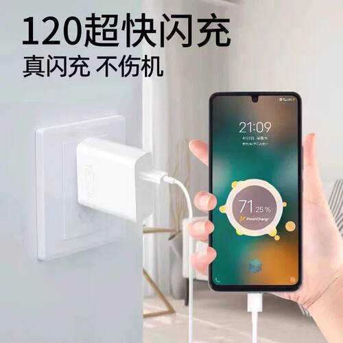 120闪充适用VIVO充电器WX200Pro/100/90S/80/70/60手机充电头IQOO13/12/11/10/Neo9/Z8/7快充S15/16/18/19/20 - 图1