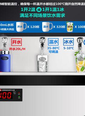德律峰商用直饮水机 冷热两用净水器 工厂用开水器 可调温平台
