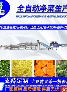辣椒清洗加工设备清胡萝土豆洗切割卜净菜生产线果蔬气泡洗清机