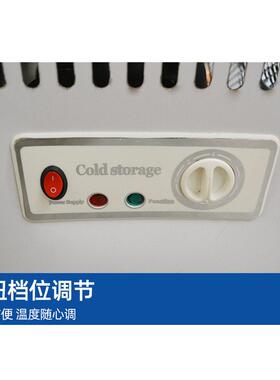 雪糕柜商超便利店汤圆水饺带玻璃窗冷藏柜速冻冰激凌雪糕展示柜