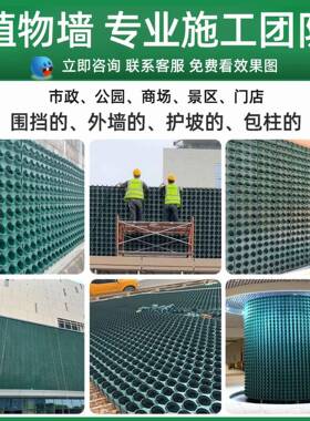 市政垂直绿化植物墙种植盒子围挡立体花盆壁挂组合蜂巢种植槽花盆
