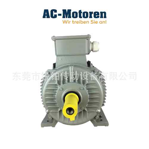 AC-Motoren电动机ACM160MA2HE铸铁11KW 690V原装正品工业船用 - 图0