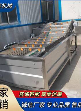 全自动洗菜机山野菜火龙果毛豆气泡清洗流水线蔬菜清洗加工
