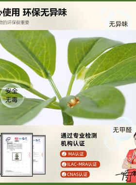 彷真绿色植物高端轻奢鸭脚木室内盆栽大型彷生植物假树客厅装饰品