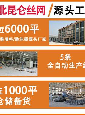 PP丝网除沫器网垫气液分离丝网除雾器阻雾器无框架丝网除雾器厂家