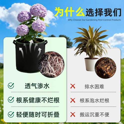无纺布种植袋美植袋出口户外家庭植物加厚耐用花盆大号育苗加仑袋 - 图2