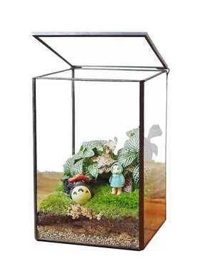 生态瓶青苔微景观盒子玻璃房盆景苔藓微缩森林缸桌面花盆摆件长方