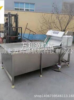 6米304不锈钢气泡果蔬清洗设备全自动洗菜机莴苣清洗机