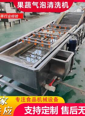全自动果蔬气泡清洗机杨桃气浪式清洗机山竹高压气泡清洗机械设备