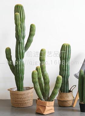 摩洛哥仙人仿真仙人大掌沙生植物景观造9256景热植物带盆栽仙掌人