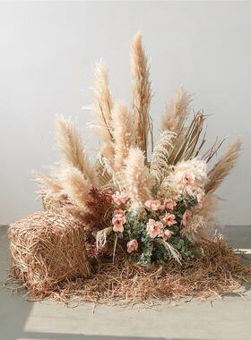 内真花植物景芦苇干花造GH1110-1室秋色服装店橱窗装观饰摆件轻奢