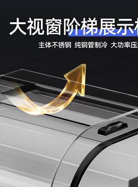 式阶专梯冷藏展串示台柜三轮车移动摆摊用冰台式阶梯柜熟食保鲜小