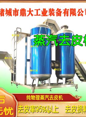 大型葡萄去皮机无需剂运行稳定故障率低食品加工行业优选设备