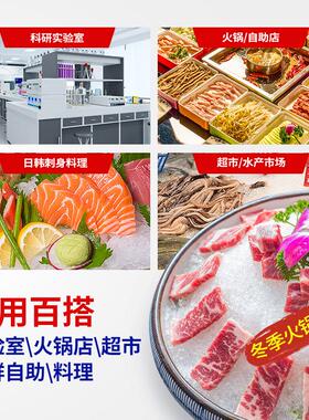 冰力欧雪花制冰机商用全自动颗粒实验室海鲜火锅鲑鱼冰盘刨冰机
