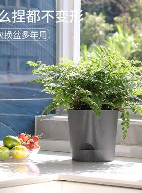 兰花花盆塑料直筒种植盆控根盆家用桌面带托 托盘透气吸水花盆小