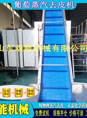 蒸汽去皮机 葡萄不伤果肉脱皮 果酒头原料全自动果蔬去皮设备