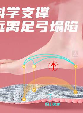 【天猫甄选】女士专用鞋垫足弓支撑女款吸汗防臭软底舒适运动气垫