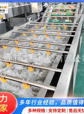 瓜果蔬菜气泡清洗机304不锈钢诸城工厂直供净菜加工清洗流水线