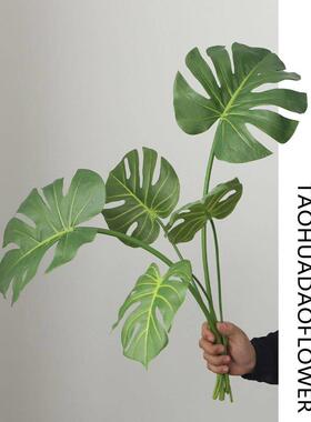 可洗的怪物叶子模拟绿色植物人造花装饰盆栽植物客厅办公室桌面装