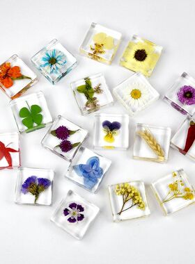 千年虫纯手工制作滴胶压花儿童教学道具植物树脂摆件创意饰品