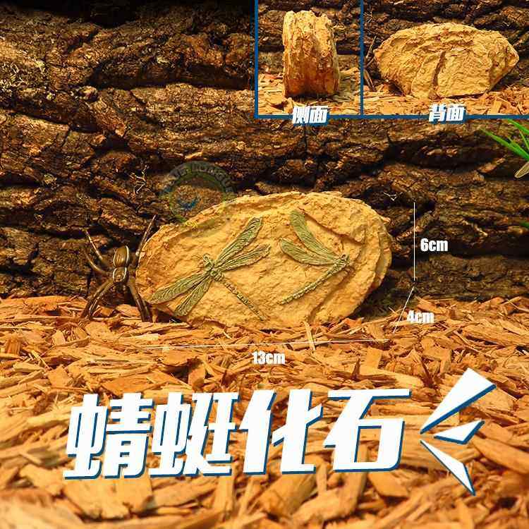 骨骼模型化石罗马柱晒台爬坡爬虫饲养箱造景躲避洞宠物蛇磨皮攀爬,淘宝优惠券,粉丝福利购,淘宝优惠卷