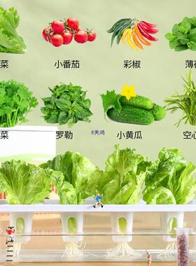 无土栽培智能花盆家庭水培蔬菜设备生菜种菜机阳台香菜水耕种植箱