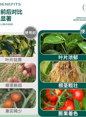氨基酸水溶叶面通用型养花绿植果树蔬菜花卉植物果树微量元素