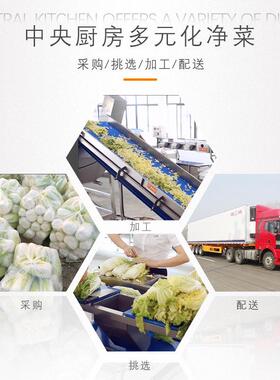 叶子菜清洗切割流水线 中央厨房净菜流水线 自动洗菜切菜流水线