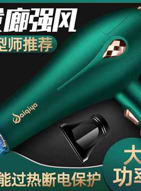 电吹风机源头工厂理发店发廊专用大功率家用蓝光大风力跨境吹风机