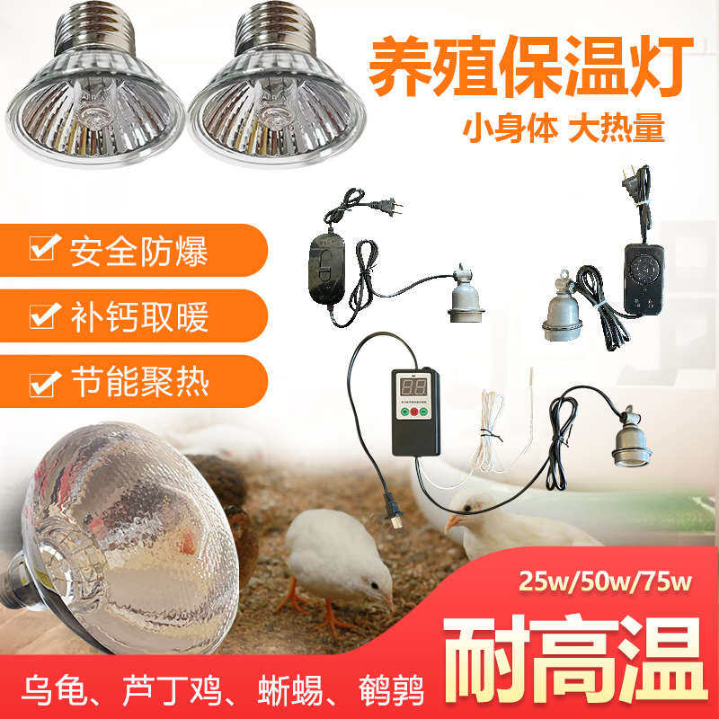 节能仔猪保温箱温控器恒温孵化箱开关芦丁鸡宠物鹌鹑乌龟取暖灯泡,淘宝优惠券,粉丝福利购,淘宝优惠卷
