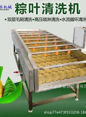 全自动粽叶清洗机 芦苇叶毛刷清洗机 压喷淋清洗设备糯米叶清洗